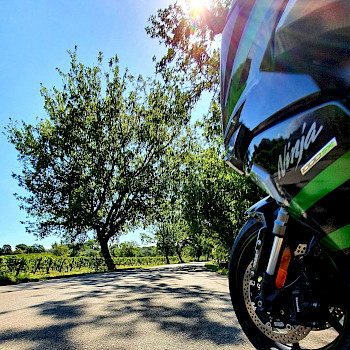 Ninja 1000SX und Z650 unterwegs in der Toskana